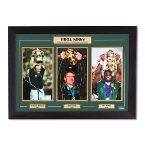 Framed Springboks collage featuring Pienaar, Smit and Kolisi