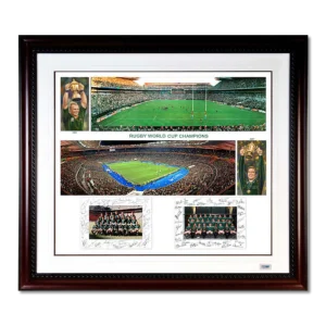 Framed Springboks Rugby World Cup 1995 and 2007 panoramic collage